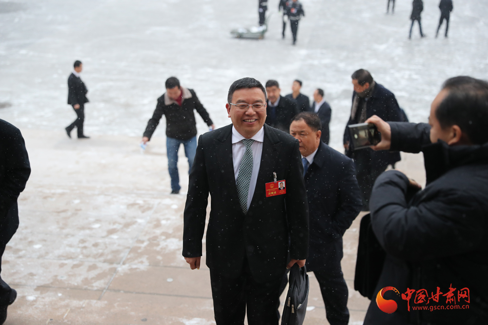 【聚焦2020甘肅兩會】“兩會”代表、委員風(fēng)采掠影（組圖）