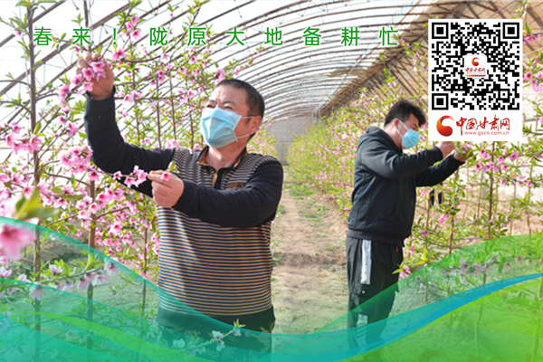 海報(bào)丨春來！隴原大地春耕忙