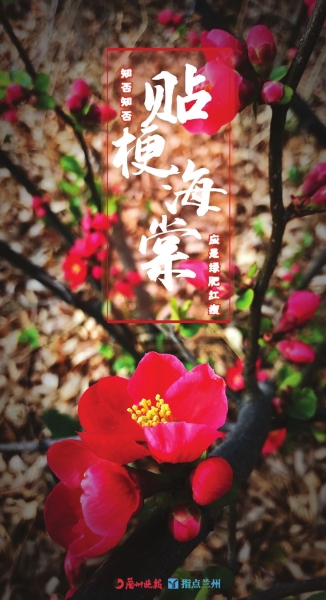 來，跟這些美美的花朵認(rèn)識一下！