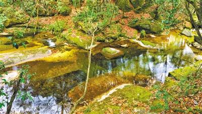 甘肅旅游丨八福溝，西秦嶺深處的水韻秘境