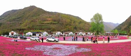 美麗隴南，風(fēng)景這邊獨(dú)好——隴南市推進(jìn)鄉(xiāng)村旅游高質(zhì)量發(fā)展綜述