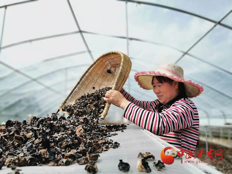 康縣：木耳菌袋結(jié)出脫貧致富的“幸?；ā?>
        </a><em>康縣：木耳菌袋結(jié)出脫貧致富的“幸福花”</em></li>
    <li><a  target=