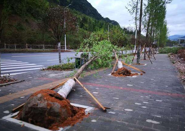 刮風(fēng)下雨加速新冠病毒傳播？別信！