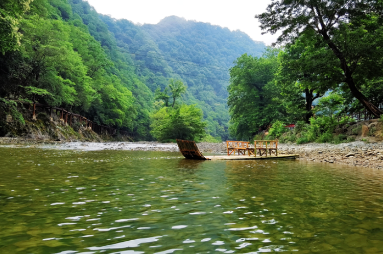 【小隴畫報·95期】康縣：來陽壩，“森”呼吸，我“氧”你