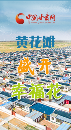 【跟著總書記看甘肅】長圖|武威黃花灘盛開幸?；?