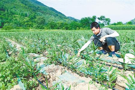 【走向我們的小康生活】安居樂業(yè) 幸?；ㄩ_