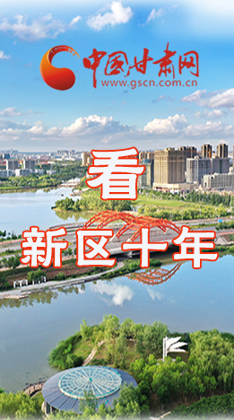 圖解|崛起！新區(qū)十年