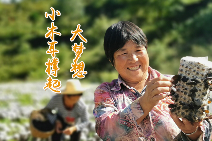 海報丨他們，乘“豐”破浪！