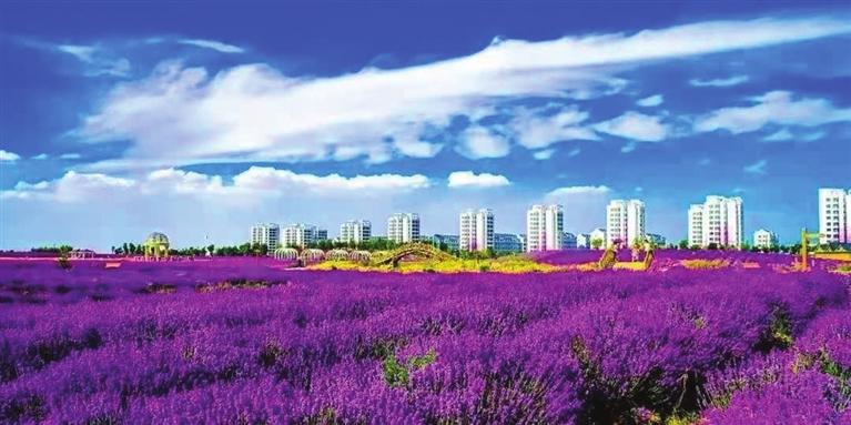 “三連冠”！金昌蟬聯(lián)全國文明城市