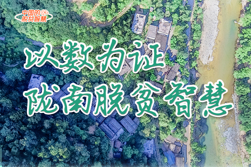 【中國的脫貧智慧】以數(shù)為證！隴南脫貧智慧來了！