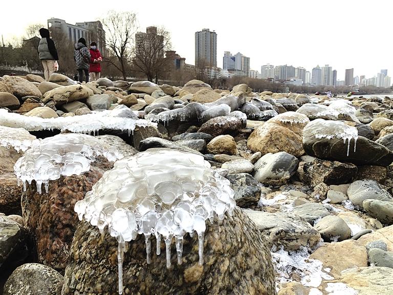 蘭州：水母上河灘？