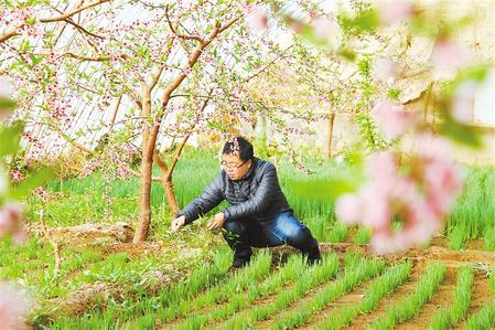 甘肅：時令催人耕種忙，不誤田間一季春