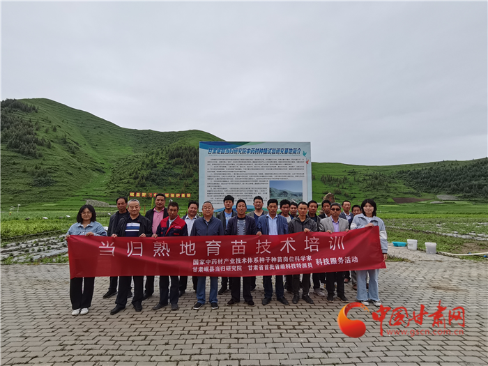定西岷縣：當歸熟地育苗培訓(xùn)到田間“輕簡化”耕種增效益