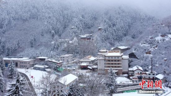 圖為籠罩在雪下的世界。吳永 攝