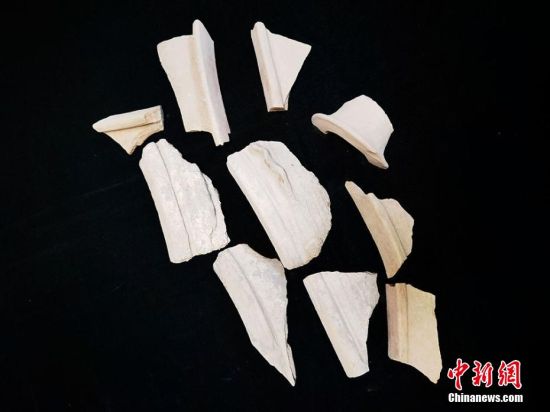 圖為靜寧縣賈河鄉(xiāng)竇坪村出土的彩陶片、紅陶片。 夏劍鋒 攝
