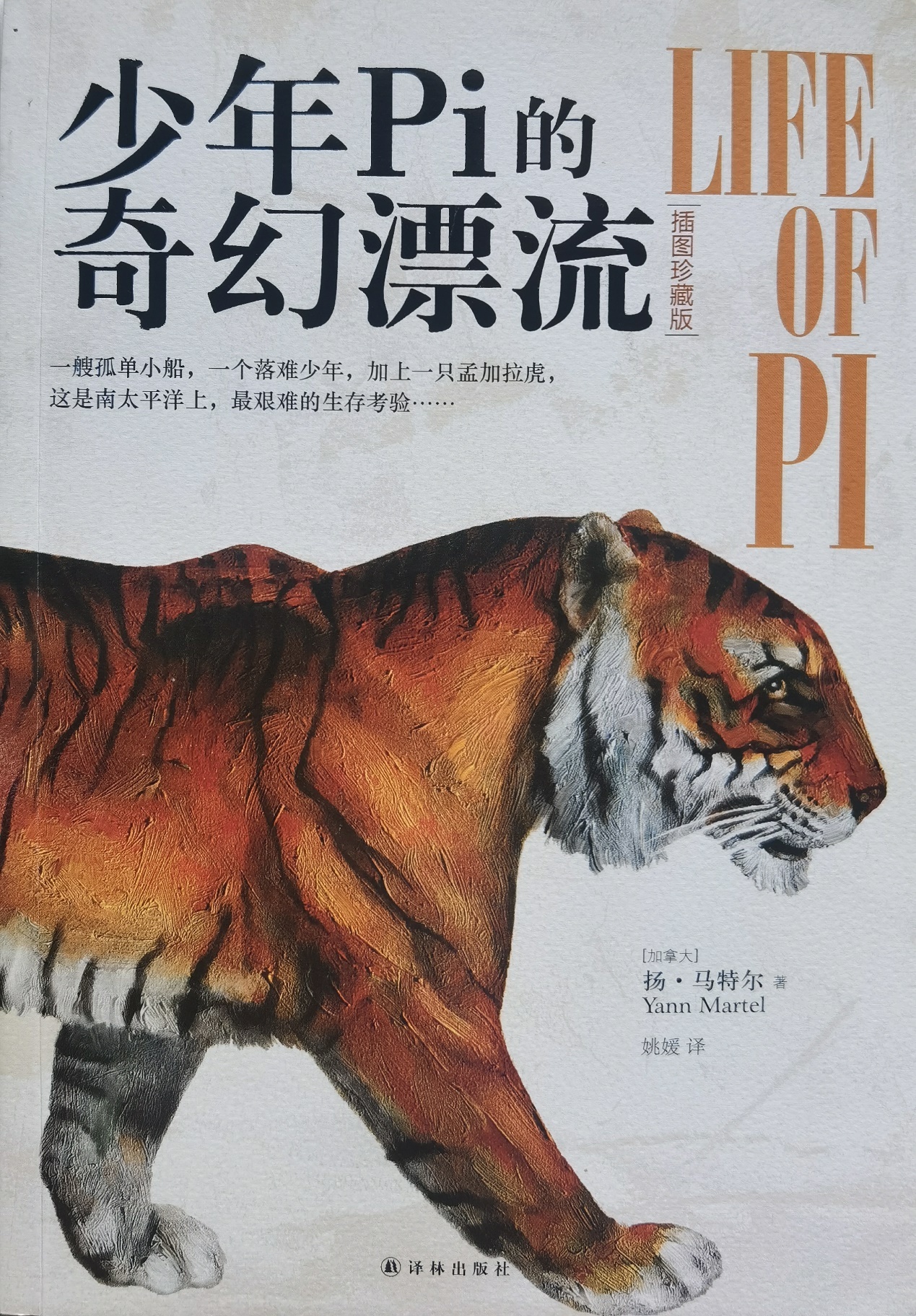 插圖1：揚(yáng)？馬特爾的小說《少年pi的奇幻漂流》封面
