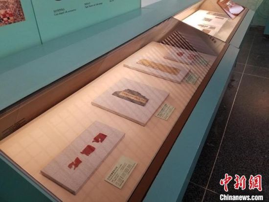 圖為展覽現(xiàn)場?！《鼗脱芯吭汗﹫D