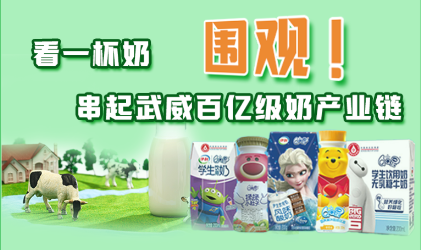 圖解|圍觀！看一杯奶串起武威百億級奶產(chǎn)業(yè)鏈
