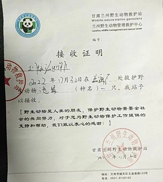 受到救助的池鷺被蘭州野生動(dòng)物保護(hù)站接收。（蘭州市公安局七里河分局供圖）