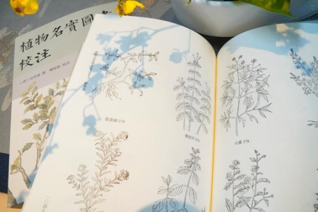 《植物名實(shí)圖考校注》內(nèi)頁。圖片來源：中華書局供圖