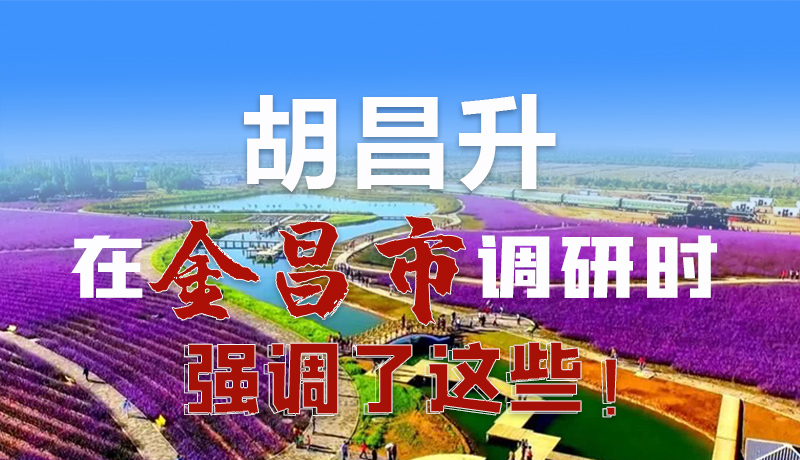 圖解|胡昌升在金昌市調研時強調了這些！