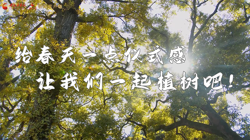 短視頻|給春天一點(diǎn)儀式感，讓我們一起植樹(shù)吧！