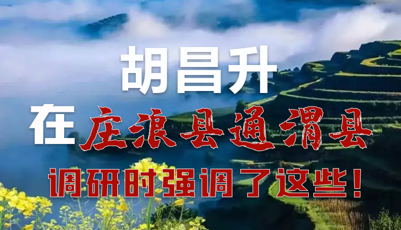 圖解|胡昌升在莊浪縣通渭縣調(diào)研時(shí)強(qiáng)調(diào)了這些！