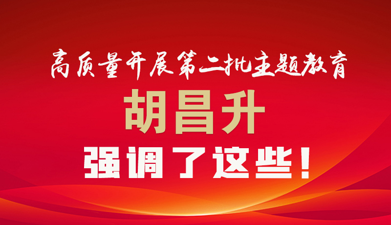 圖解|高質(zhì)量開展第二批主題教育 胡昌升強調(diào)了這些！