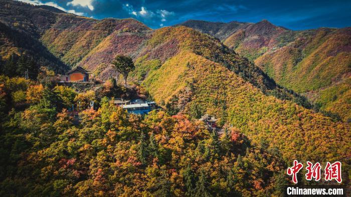 深秋，位于蘭州市榆中縣的興隆山，似打翻調(diào)色板。金峯 攝