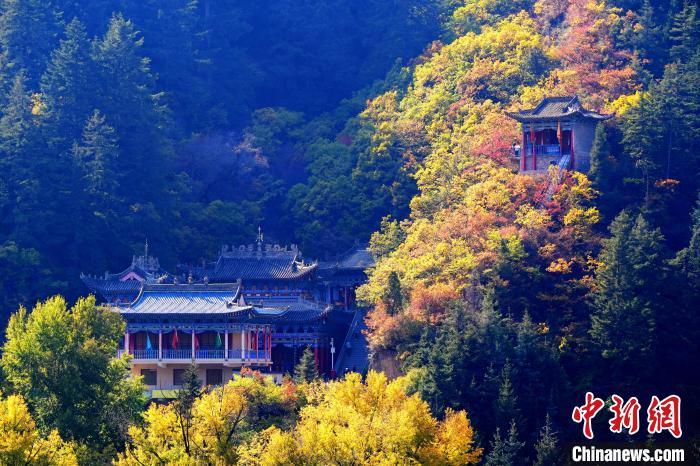 深秋，位于蘭州市榆中縣的興隆山景色如畫。宮衛(wèi)紅 攝