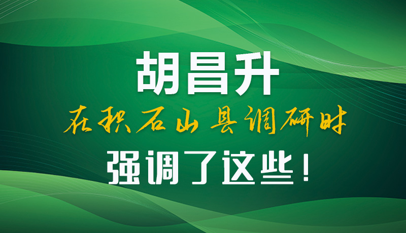 圖解|胡昌升在積石山縣調(diào)研時(shí)強(qiáng)調(diào)了這些！