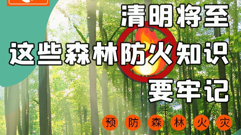 【甘快看】圖解|緊繃“安全弦”！清明，這些森林防火知識要牢記