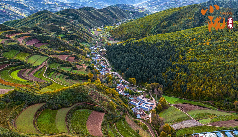 初冬時(shí)節(jié) 臨潭最后一波秋色驚艷誘人