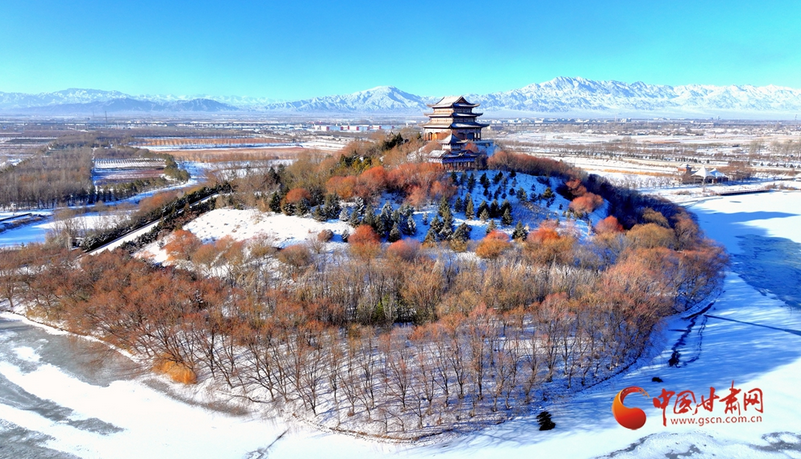 隴拍客丨雪映臨澤景如畫